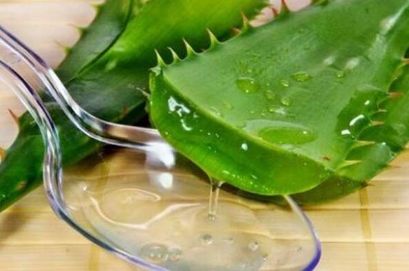 Aloe juice for a strong erection