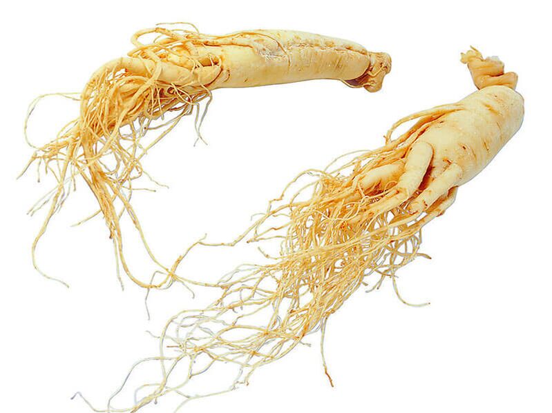 Ginseng root for potency